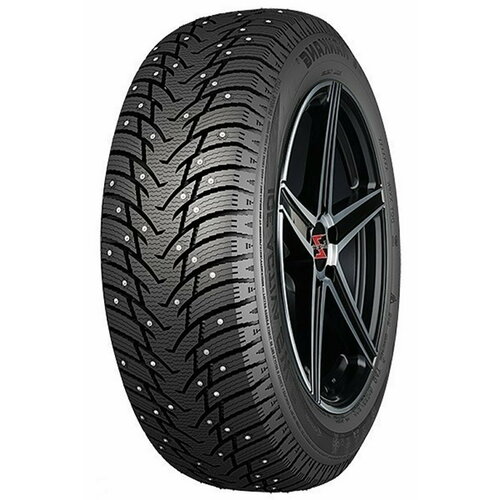 225/50R17 Nankang SW-8 98T шип