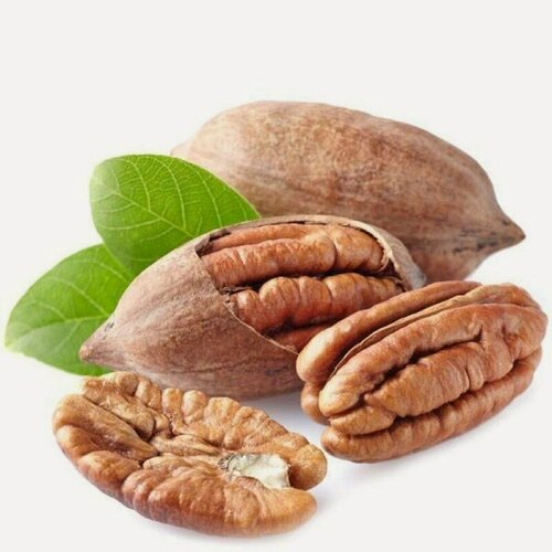 Изображение товара Пекан в скорлупе, цельные орешки, без ГМО, 1 кг Натурально, свежий сбор!