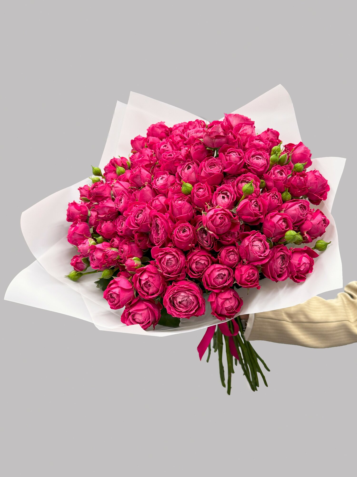 Букет живых цветов малиновые кустовые розы 25 шт. 50 см. "Марвелос Баблз " Флау Стор