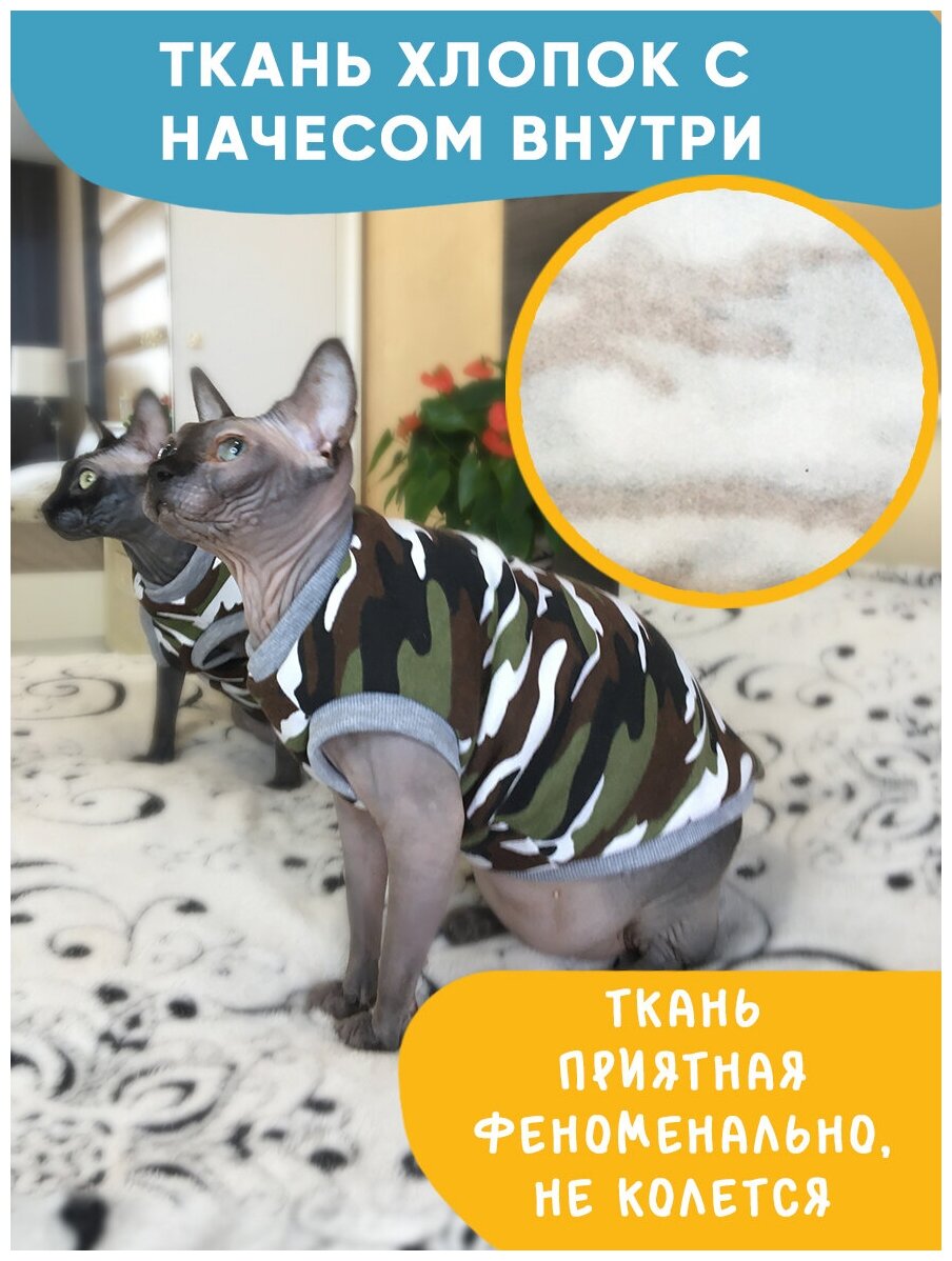 Одежда для животных кошек сфинкс и собак мелких пород - фотография № 4