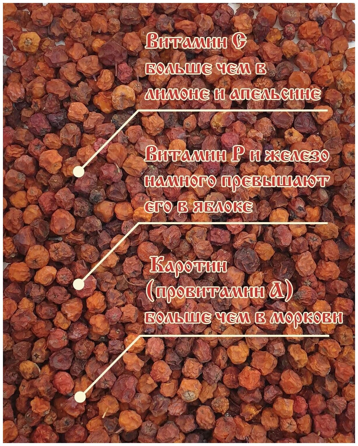 Рябина красная 1 кг. Алтайская "Осенняя" ягода сушеная - фотография № 5