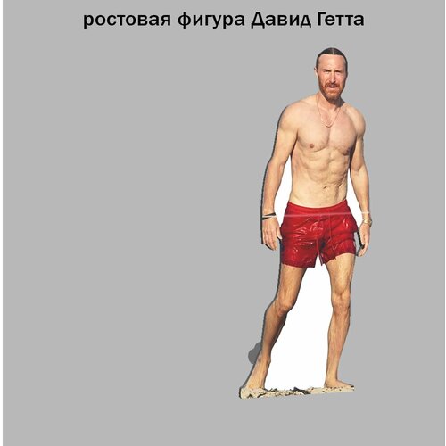Давид Гетта ростовая фигура