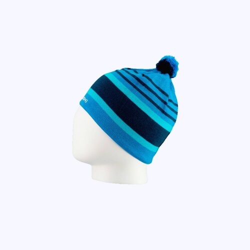 Шапка Nordski, размер Универсальный, синий, голубой
