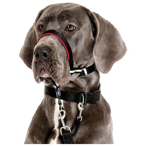 Недоуздок для собак Company of Animals HALTI Optifit Headcollar, L , черный, 48-64см (Великобритания)
