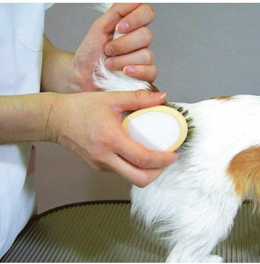 Japan Premium Pet Щетка с натуральной щетиной для блеска шерсти Мини - фотография № 9
