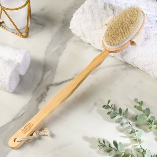 Добропаровъ Щётка массажная из натуральной щетины с ручкой гладкая 514₽