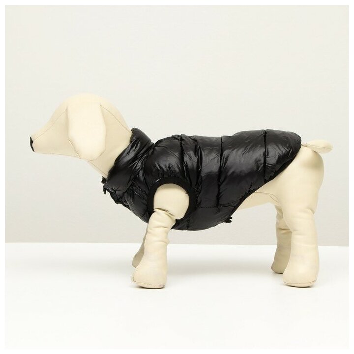 Куртка для собак двухсторонняя с принтом, размер 8 (ДС 23 см, ОГ 30, ОШ 22 см), чёрная - фотография № 4