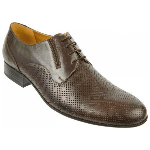 фото Ralf ringer туфли мужские 558111 тк (41)