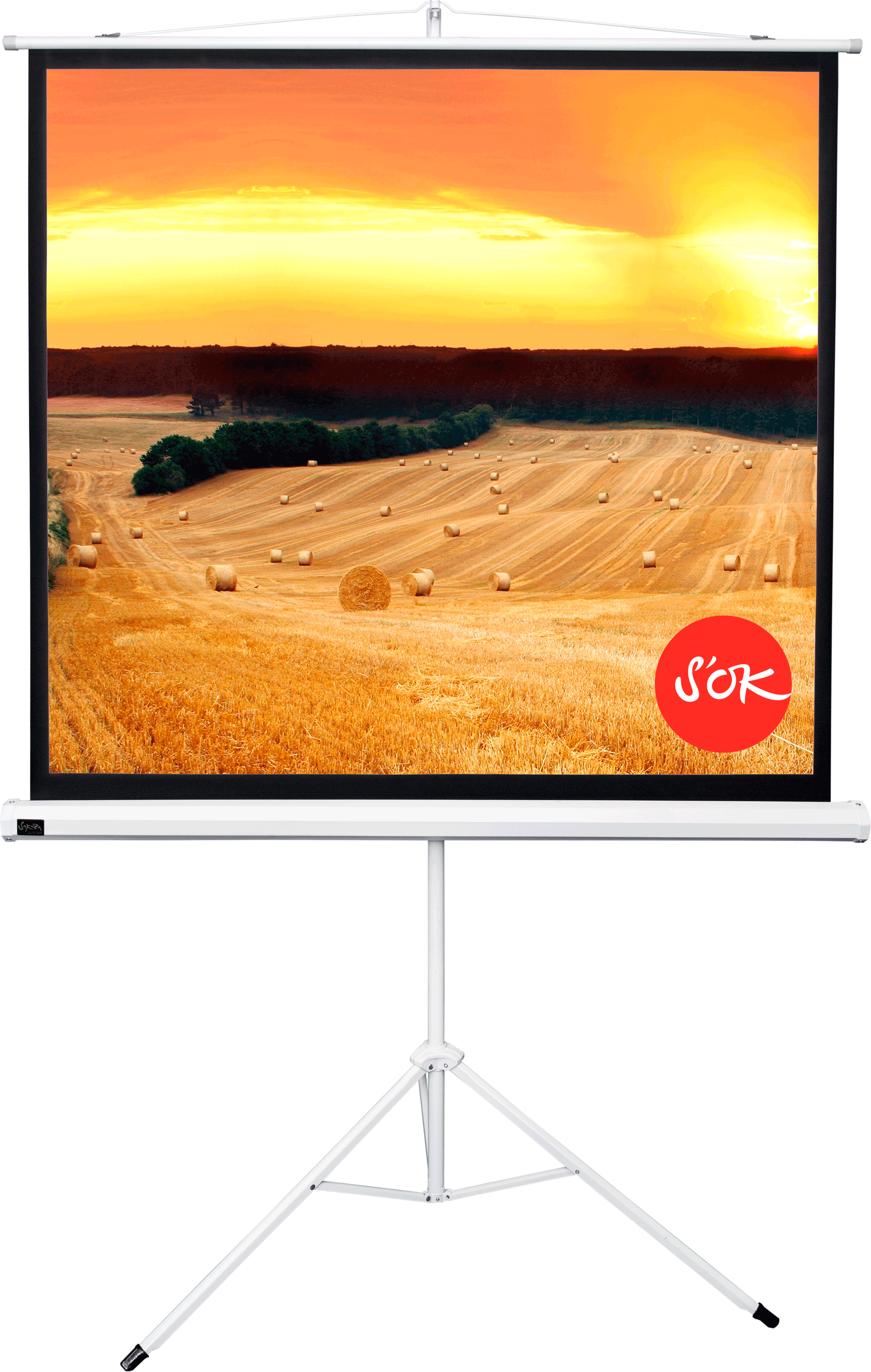 Экран для проектора S'OK SCPST-158x158 88' 1:1 напольный на треноге матовый белый