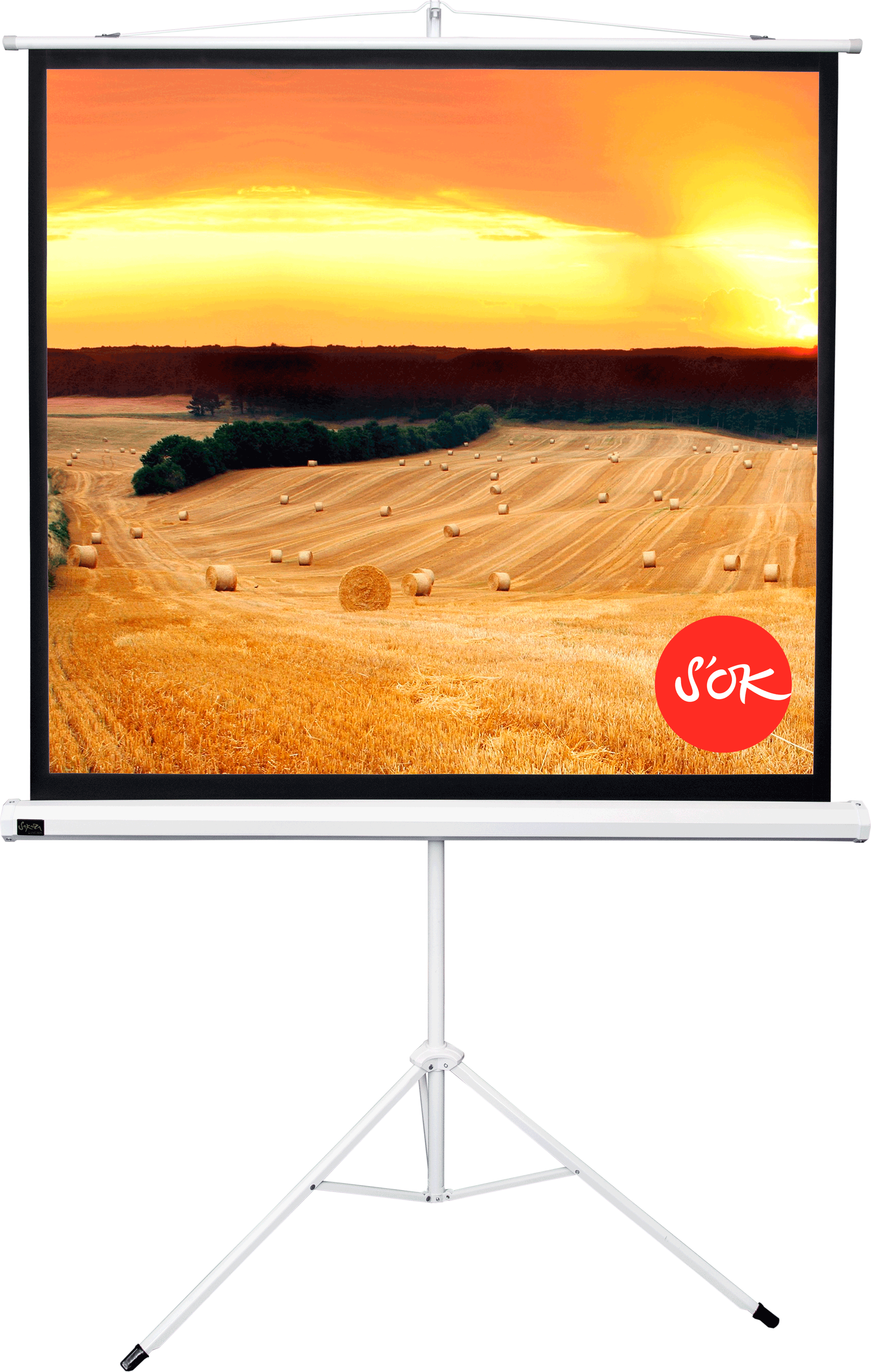 Экран для проектора SOK SCPST-158x158 88 1:1 напольный, на треноге, матовый, белый