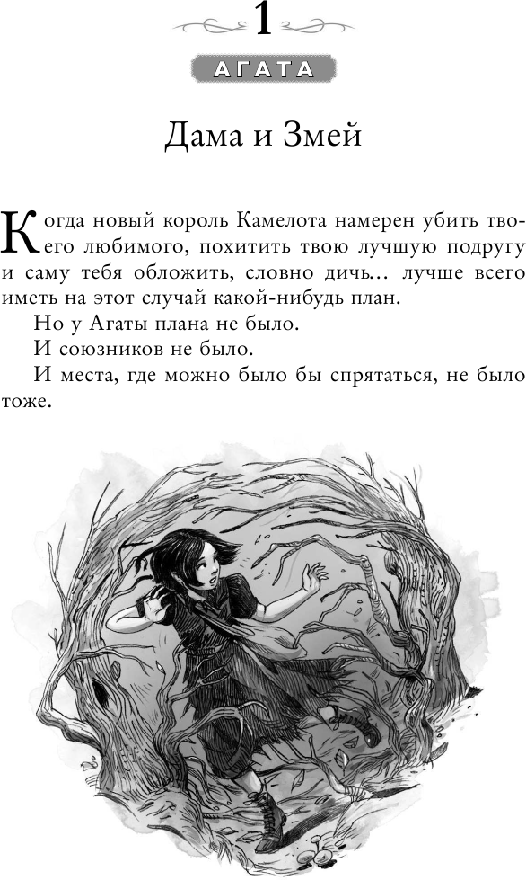 Школа Добра и Зла Кристалл времени (ДетШкДобрИЗл) Чайнани - фото №15