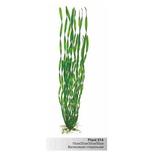 Пластиковое растение Валиснерия спиральная 10см (Барбус) Plant 014/10