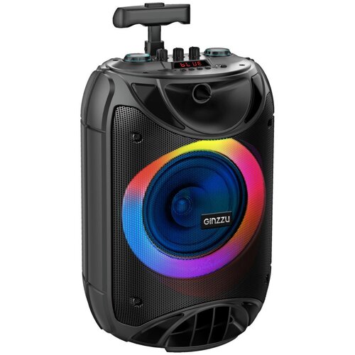 Мидисистема GINZZU GM-223 420800₽