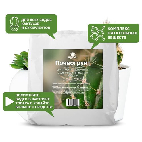 Грунт для суккулентов и кактусов Пуршат 3 л