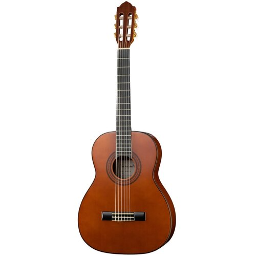CG320-3/4 Классическая гитара, 36, Naranda классическая гитара уменьшенная 3 4 naranda