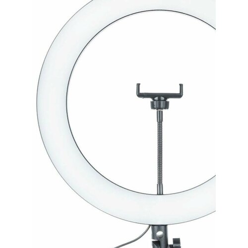 Кольцевая светодиодная лампа M-36 280000₽