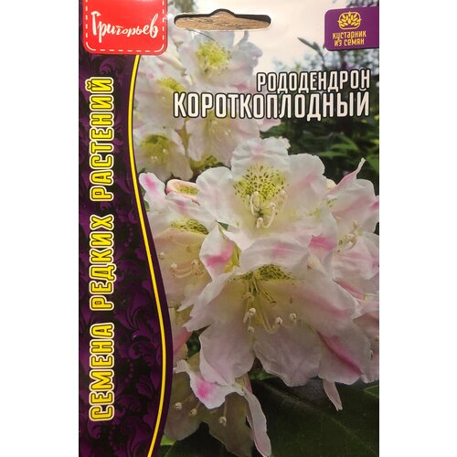 Семена Рододендрона короткоплодного (20 семян) семена рододендрона шлиппенбаха 0 01г