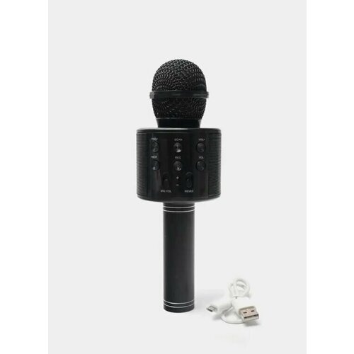 Микрофон универсальный Техноmall Микрофон караоке WS858 черный 47900₽