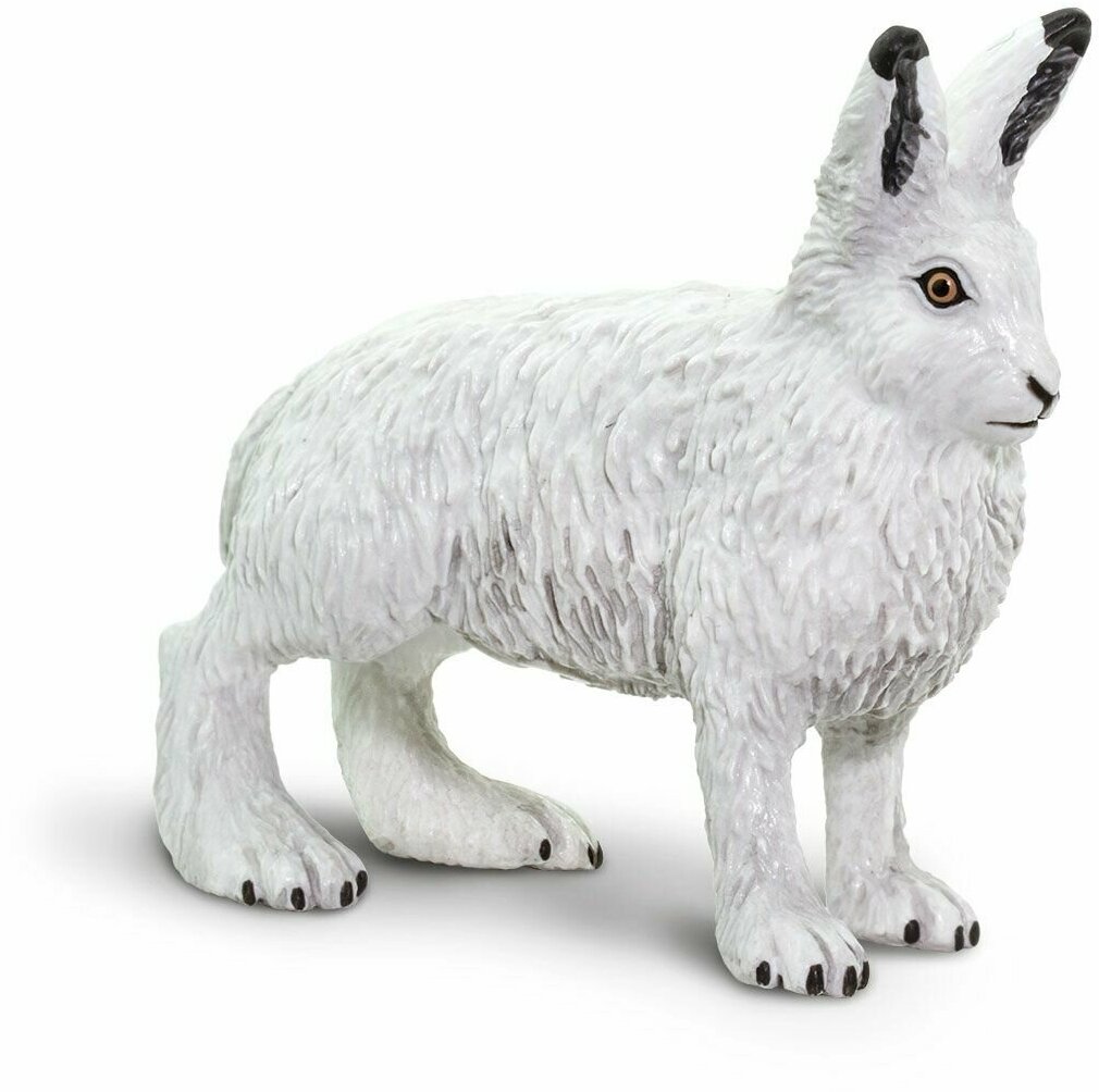 Фигурка животного зайца Safari Ltd Арктический беляк, для детей, игрушка коллекционная, 182129