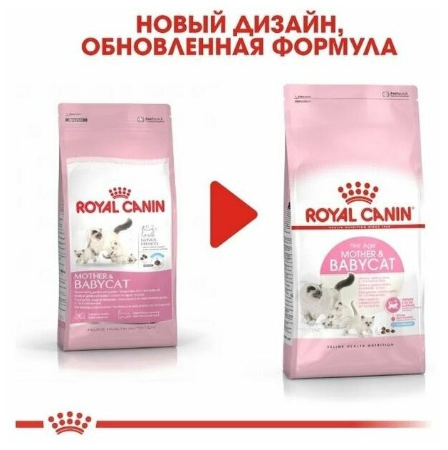 Сухой корм для беременных и кормящих кошек, для котят Royal Canin Mother&Babycat 4 шт. х 400 г - фотография № 6