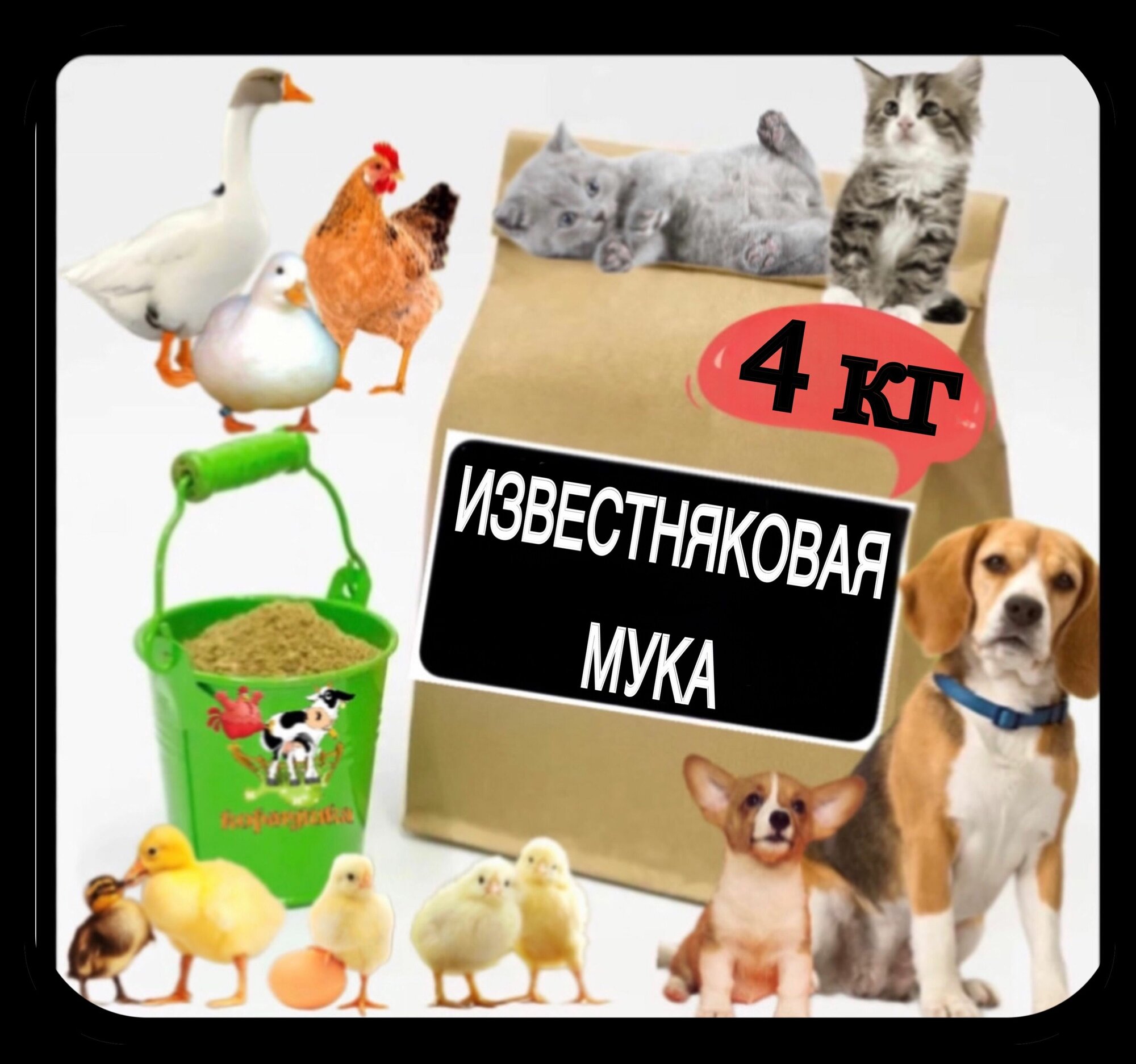 Известняк кормовой 4 кг, витамины для животных - фотография № 1