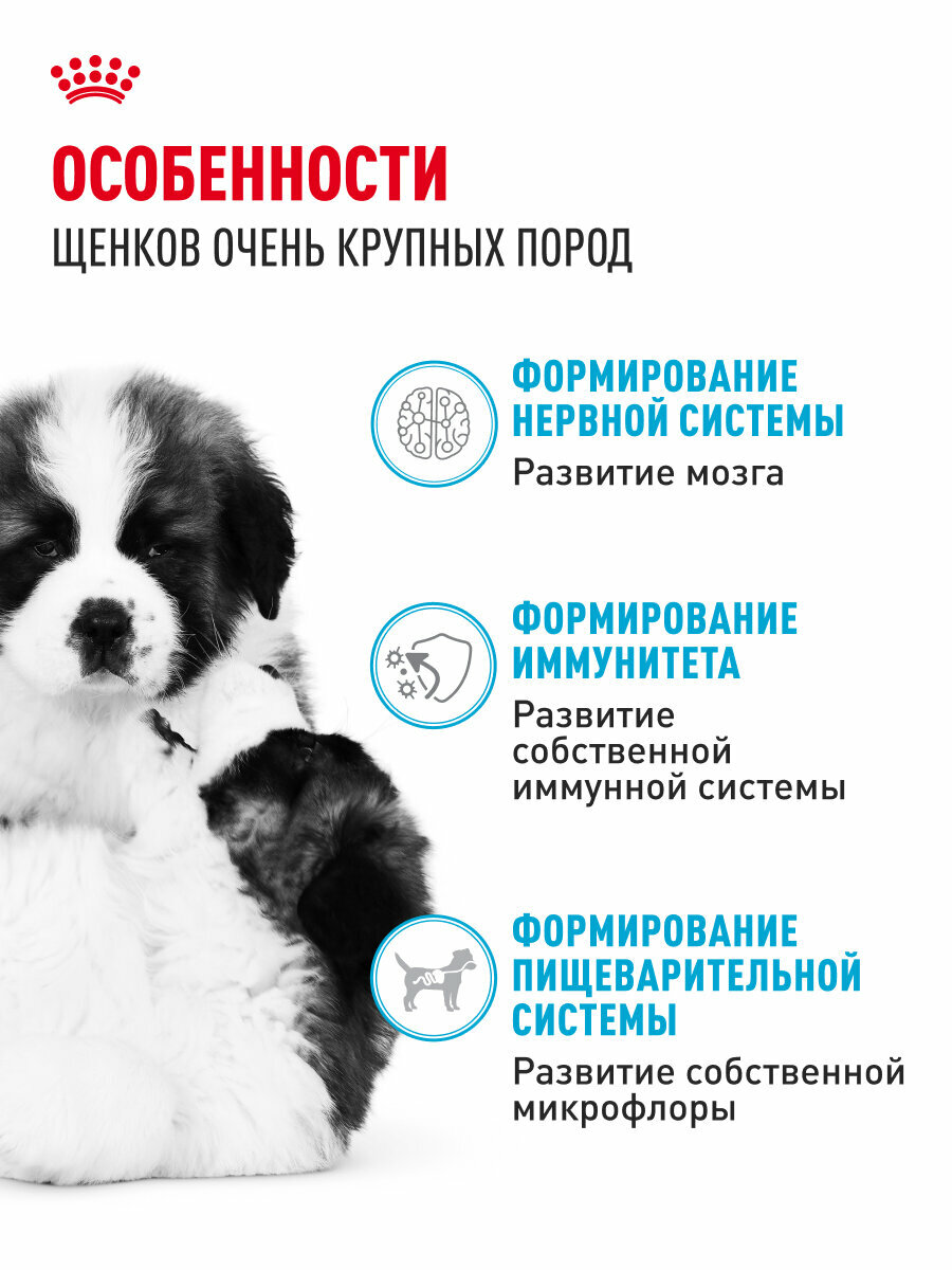 Сухой корм для щенков Royal Canin Giant Puppy для очень крупных пород, 15 кг — фото 1