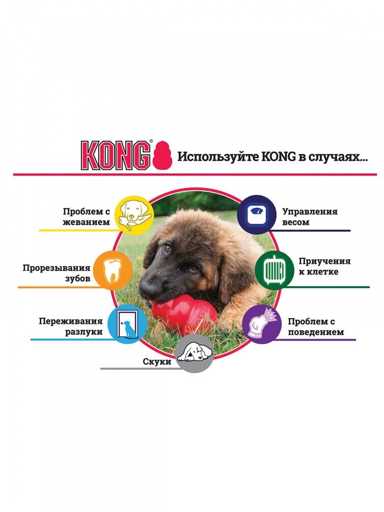 Игрушка для собак KONG M очень прочная средняя, 8х6 см - фото №7