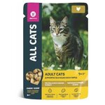 Влажный корм ALL CATS для кошек тефтельки с курицей в соусе (пауч), 28 шт 85 гр - изображение