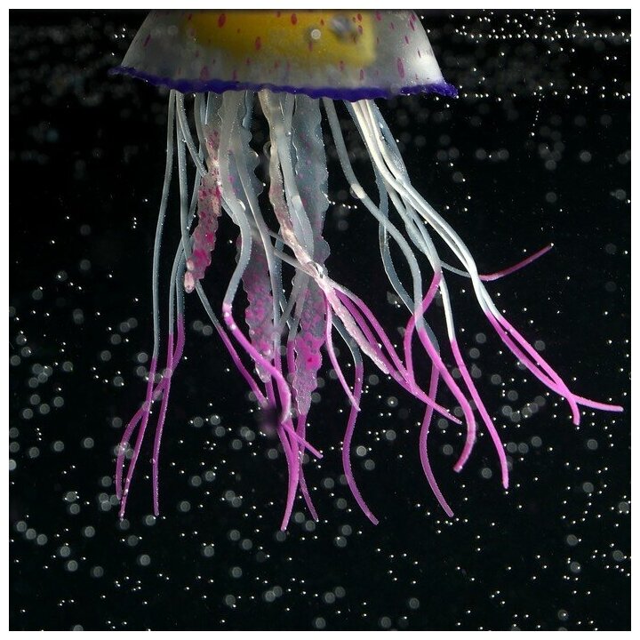 Декор для аквариума"Медуза", силиконовая, с неоновым эффектом, 6,5 х 6,5 х 11,5 см, фиолето 71088 . - фотография № 2
