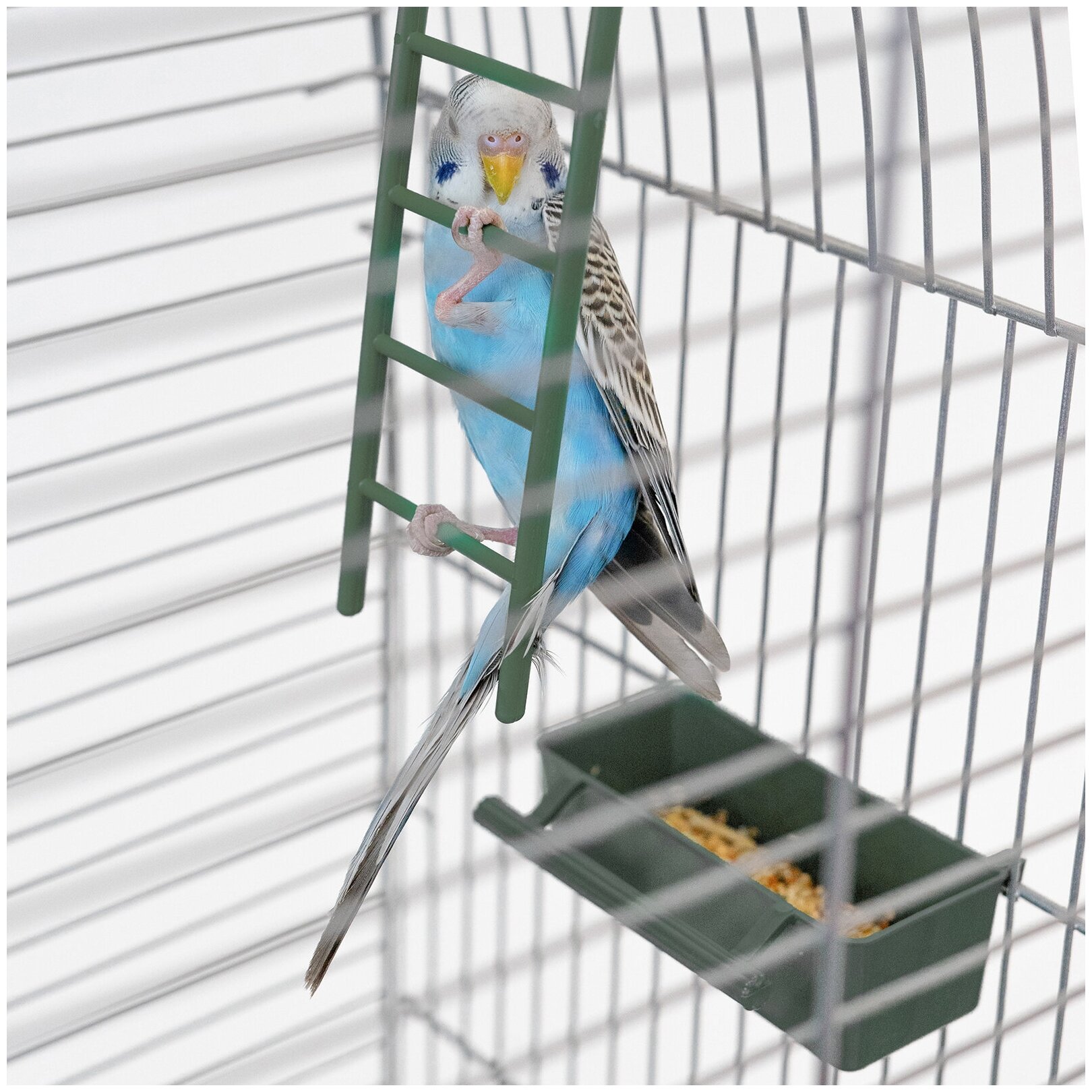 Клетка для птиц 88 х 58 х 40см: для попугая, для канарейки ЛОФТ-2 разборная "PetTails", 2 секции, шаг прута 12мм, изумрудная - фотография № 10
