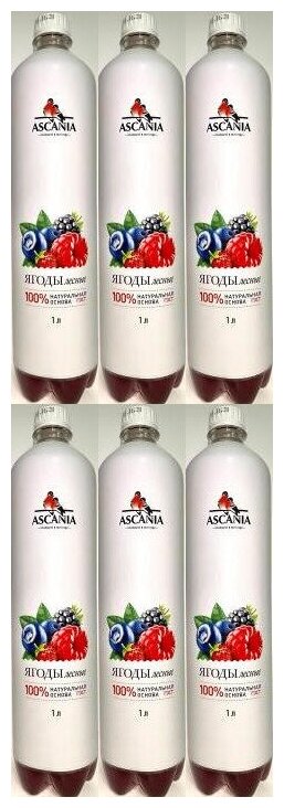 Газированный натуральный лимонад Ascania (Аскания) Лесные ягоды 1.0 л ПЭТ упаковка 6 штук - фотография № 1