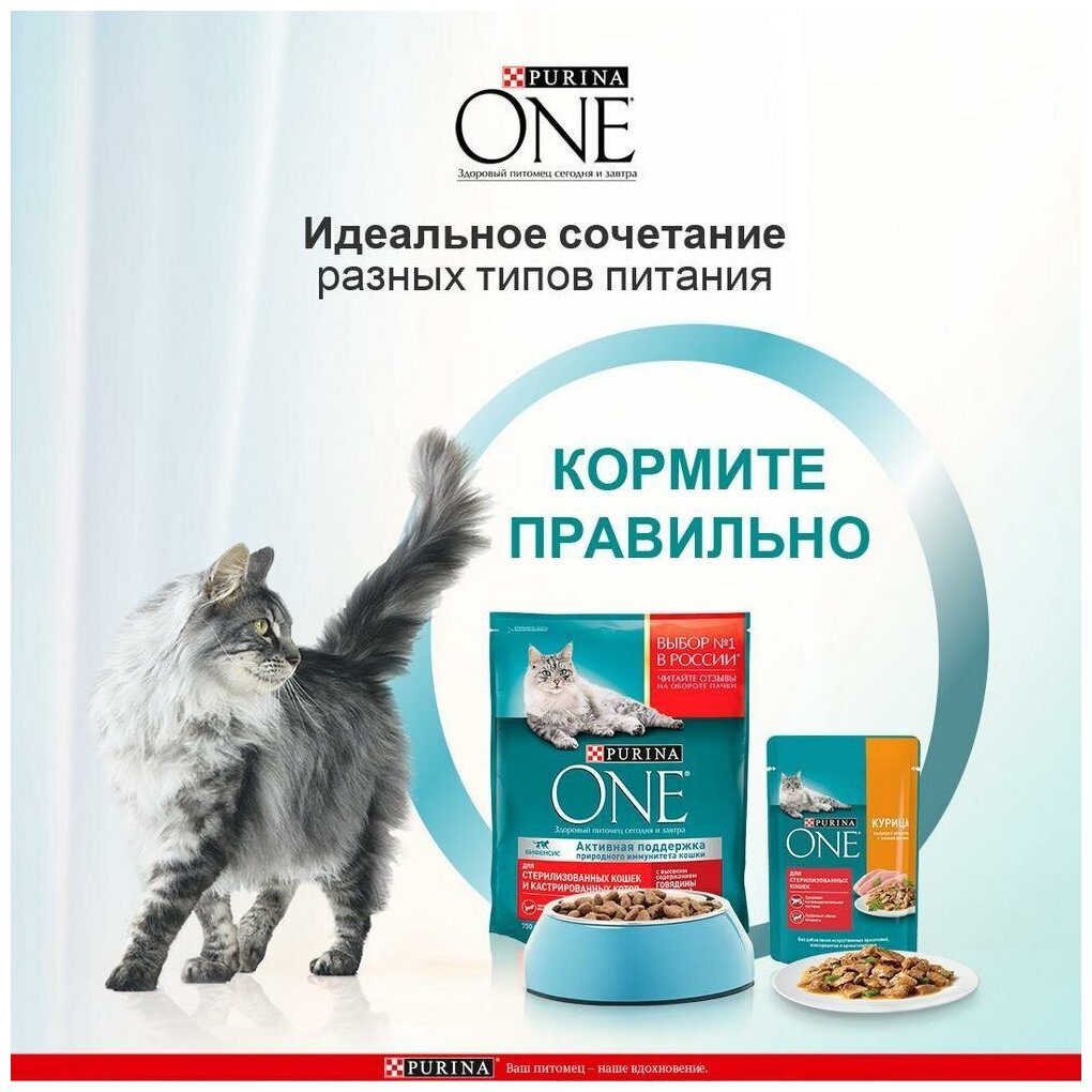 PURINA ONE для взрослых кастрированных котов и стерилизованных кошек с лососем и пшеницей (0,2 кг х 10 шт) - фотография № 17