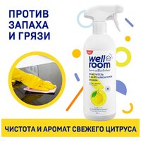 Очиститель с нейтрализатором запаха Wellroom, цитрус, 500 мл