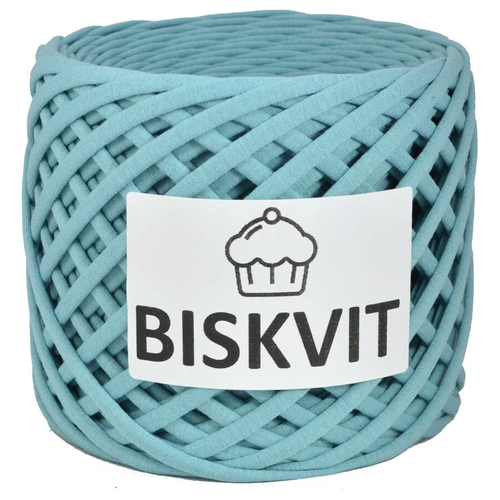 Нить вязальная Biskvit Biskvit, 100 % хлопок, 300 г, 100 м, 1 шт., 906 Пыльная мята 100 м