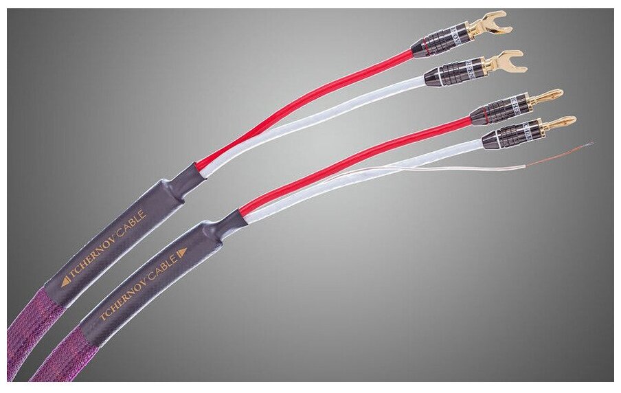 Tchernov Cable Classic XS SC Sp/Bn (5 m)