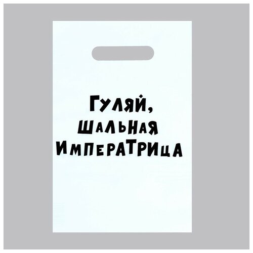 Пакет с приколами, полиэтиленовый с вырубной ручкой «Гуляй шальная императрица», 20 х 30 см, 35 мкм (100шт.)