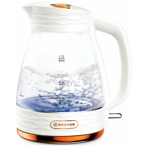 Чайник электрический BRAYER BR1029 279900₽