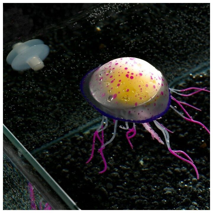 Декор для аквариума"Медуза", силиконовая, с неоновым эффектом, 6,5 х 6,5 х 11,5 см, фиолето 71088 . - фотография № 4