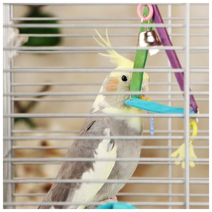 Адель Игрушка для птиц "Разноцветный треугольник", с колокольчиком, микс - фотография № 3