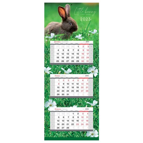 календарь на спирали символ года 1 кролики маркет на 2023 год nd play Календарь квартальный настенный на 2023 год Люкс Символ года