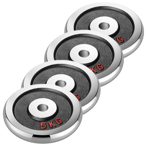 Набор хромированных дисков Voitto 5 кг (4 шт) - d26 набор хромированных дисков voitto 5 кг 2 шт d26