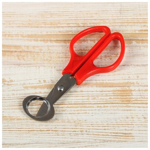 Ножницы для вскрытия перепелиных яиц 140 мм 416₽