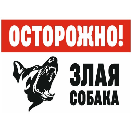 табличка информационная осторожно злая собака 27 см х 20 см 2 5 Табличка осторожно злая собака 20 х 15 см / информационная табличка на дверь / декоративная табличка