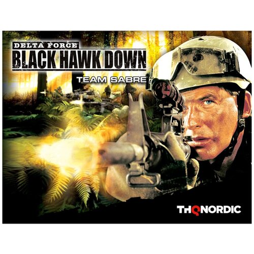 Delta Force: Black Hawk Down - Team Sabre stiefvater maggie call down the hawk