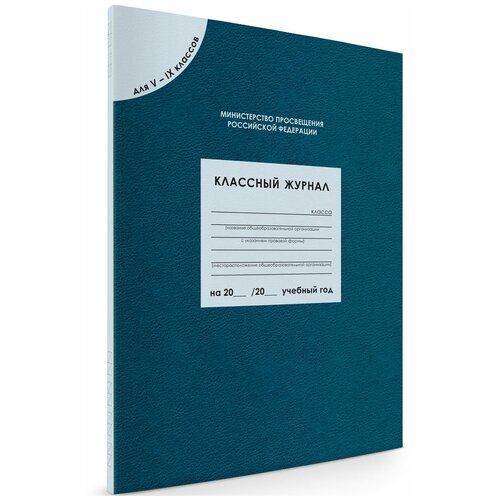 Классный журнал для 5-9 классов (96 листов). Дневник классного руководителя