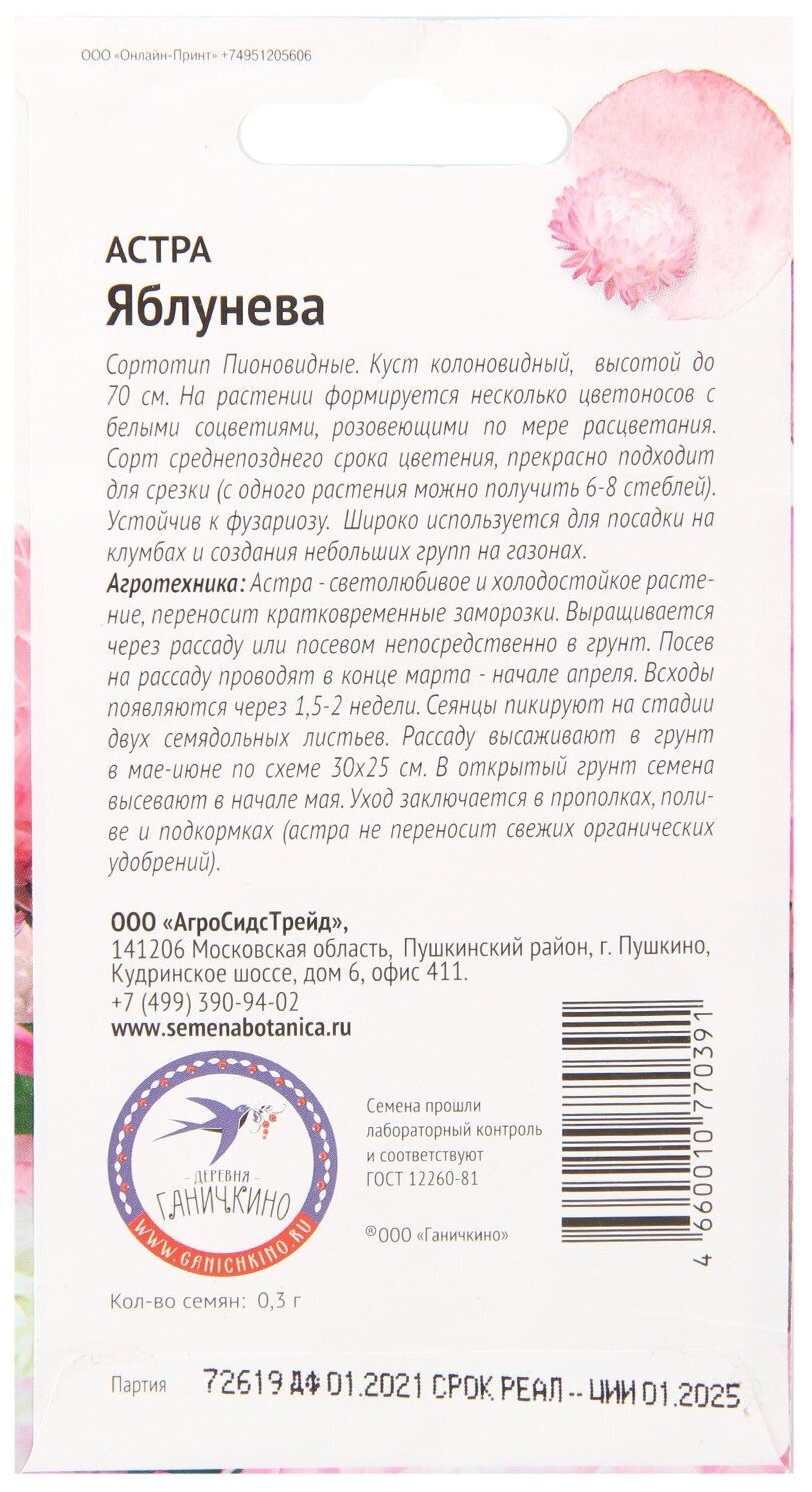Астра Октябрина Ганичкина - фото №4