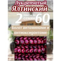 Лук репчатый Ялтинский красный 2 пакета по 60шт семян