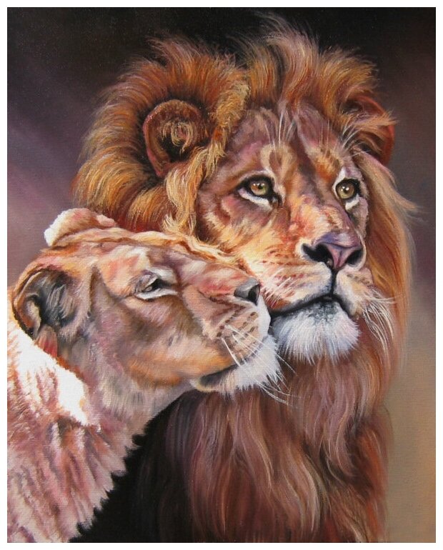 Картина по номерам на подрамнике 40*50 см "Лев и львица"