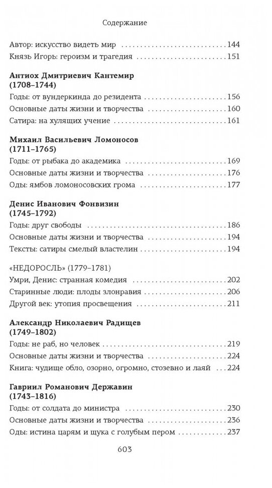 Русская литература для всех От Слова о полку Игореве до Лермонтова Классное чтение - фото №3