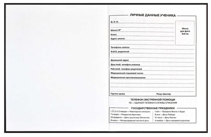 Дневник школьный / Для школы дневник / Школьный дневник для старших ...